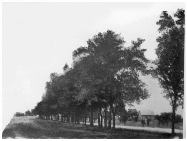 Hawpe Lane (later Junius) before Munger Place development