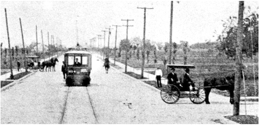 Collett Trolley