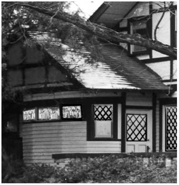 Dining Room West Side showing Window Treatment