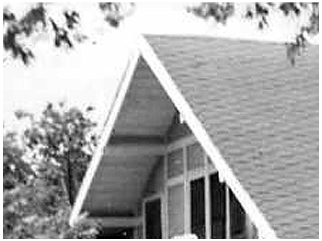 Overhang of the roofs