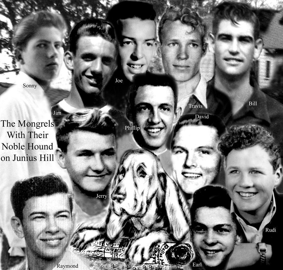 The Mongrels