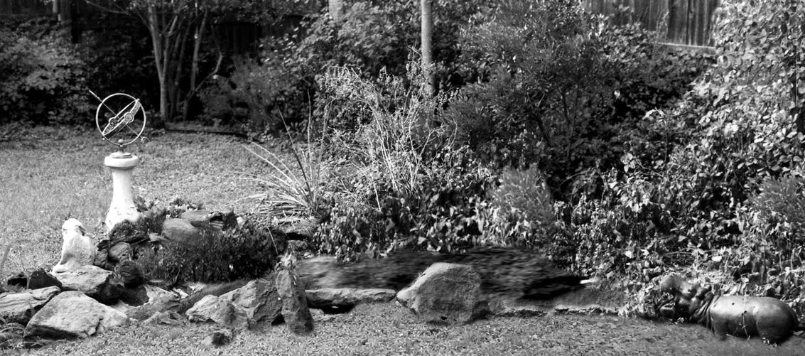 The back yard is beautiful again. Shown above is the rim of the old fish pond with stones and plants